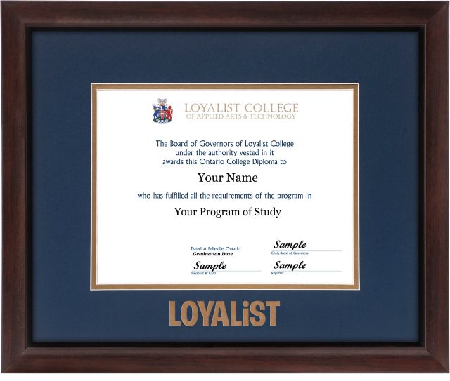 Loyalist College 16 x 13 Diploma Frame Brentwood Blue Matte